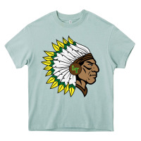 Arona lane tech college prep high school Heavy Core Tee - Craftify
