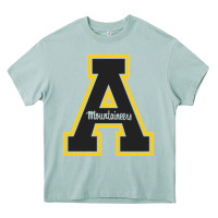 Arona appalachia state mountaineers Heavy Core Tee - Craftify