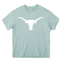 Arona texas longhorns merch Heavy Core Tee - Craftify