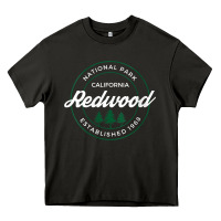 Womens Redwood National Park California Gifts Souvenir Ca V Neck T Shi Heavy Core Tee | Teevron