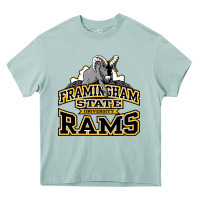 Arona framingham state Heavy Core Tee - InspiraDesign