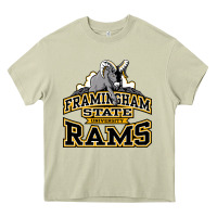 Mossy framingham state Heavy Core Tee - InspiraDesign
