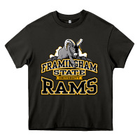 Asphalt framingham state Heavy Core Tee - InspiraDesign