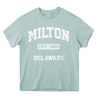 Arona milton delaware de vintage state athletic style t shirt Heavy Core Tee - InspiraDesign