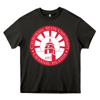 Asphalt csu channel islands seal Heavy Core Tee - InspiraDesign