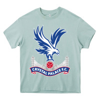 Arona the-crystal-palace-f.c.-cool Heavy Core Tee - InspiraDesign