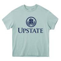 Arona Upstate Medical, SUNY Heavy Core Tee - InspiraDesign