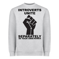 Introverts Unite Seperately In Your Own Homes Heavyweight Sweatshirt | Teevron