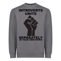 Storm introverts unite seperately in your own homes Heavyweight Sweatshirt - Bettercallsaul