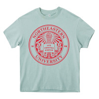 Arona Northeastern University Heavy Core Tee - ArtChic