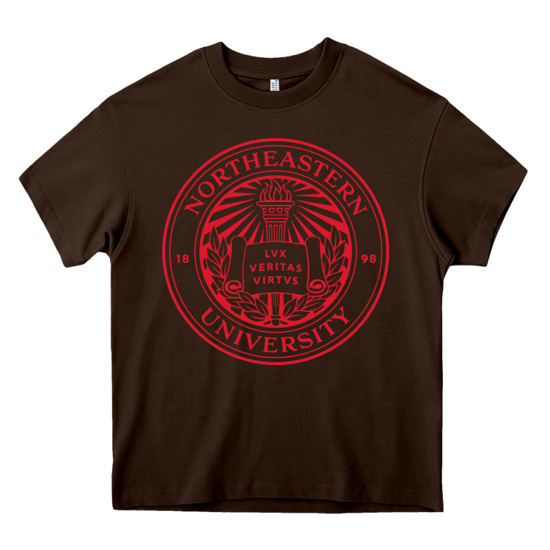 Northeastern University Heavy Core Tee by ArtChic | Teevron
