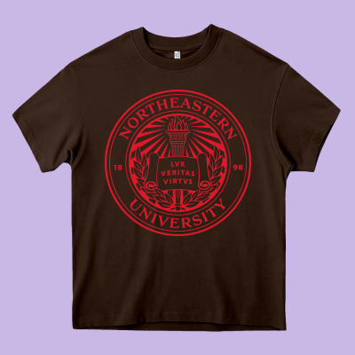 Northeastern University Heavy Core Tee Designed By Artchic