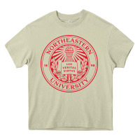 Mossy Northeastern University Heavy Core Tee - ArtChic