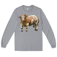 Heather Grey simmental bull Long Sleeve Tee - LillyAllenDesigns