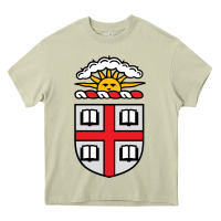 Mossy brown university Heavy Core Tee - StudioElite