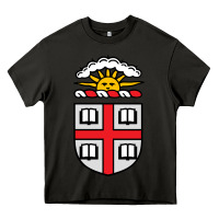 Asphalt brown university Heavy Core Tee - StudioElite