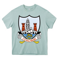 Arona cork gaa classic Heavy Core Tee - StudioElite