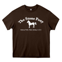 Chocolate Brown The Stone Pony Heavy Core Tee - StudioElite