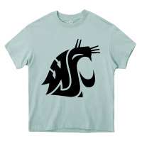 Arona washington state cougars football Heavy Core Tee - StudioElite