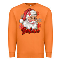 Carrot santa believe Premium Sweatshirt - RanaPortraitStore