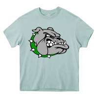Arona ashville high school, ashville bulldogs Heavy Core Tee - PixelFlow