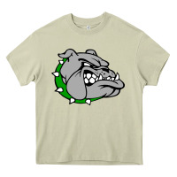 Mossy ashville high school, ashville bulldogs Heavy Core Tee - PixelFlow