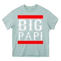 Arona big papi Heavy Core Tee - PixelFlow