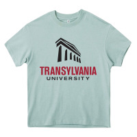 Arona transylvania university Heavy Core Tee - PixelFlow