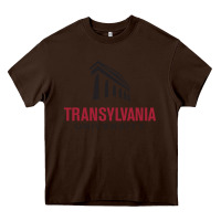 Chocolate Brown transylvania university Heavy Core Tee - PixelFlow