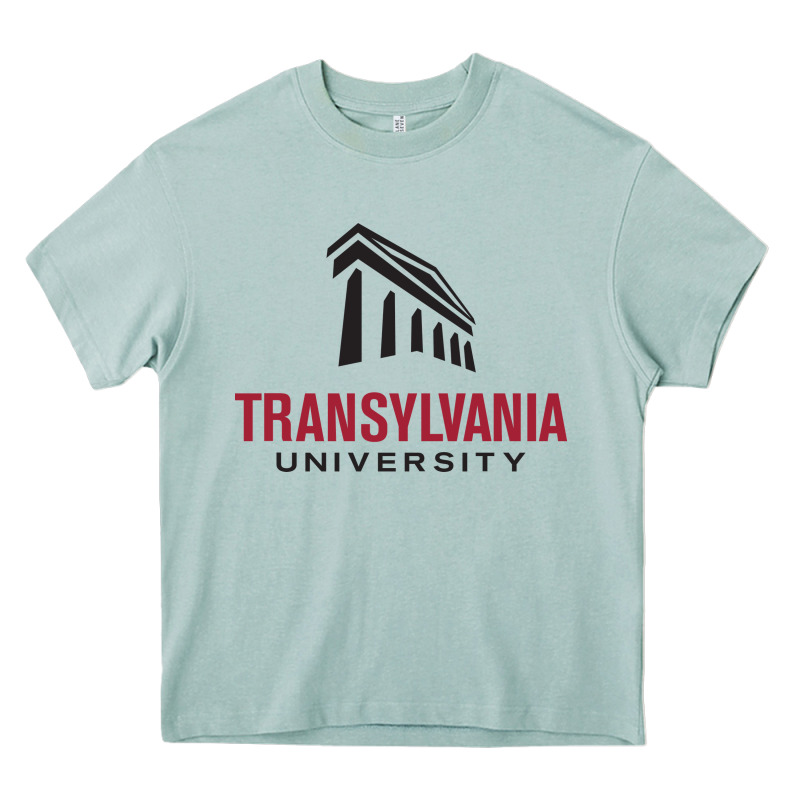 Transylvania University Heavy Core Tee by PixelFlow | Teevron