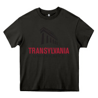 Asphalt transylvania university Heavy Core Tee - PixelFlow