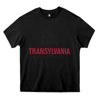 Black transylvania university Heavy Core Tee - PixelFlow