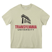 Mossy transylvania university Heavy Core Tee - PixelFlow