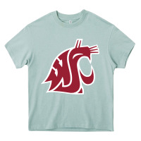 Arona washington state cougars Heavy Core Tee - PixelFlow