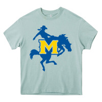 Arona mcneese  athletics Heavy Core Tee - PixelFlow