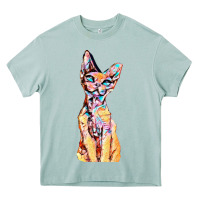 Arona Colorful Cat Heavy Core Tee - PixelFlow