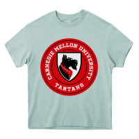 Arona carnegie mellon tartans Heavy Core Tee - SnappyArt