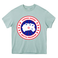 Arona canada goose Heavy Core Tee - SnappyArt