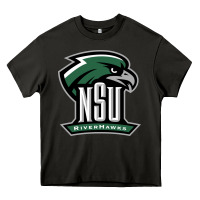 Asphalt northeastern state riverhawks Heavy Core Tee - SnappyArt