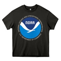 Asphalt noaa national oceanic and atmospheric administrati Heavy Core Tee - SnappyArt