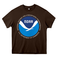 Chocolate Brown noaa national oceanic and atmospheric administrati Heavy Core Tee - SnappyArt