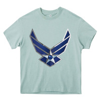 Arona US Air Force USAF Heavy Core Tee - SnappyArt