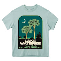 Arona Trending Lake Wateree State Park Sc Vintage Travel Heavy Core Tee - SnappyArt