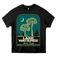 Black Trending Lake Wateree State Park Sc Vintage Travel Heavy Core Tee - SnappyArt