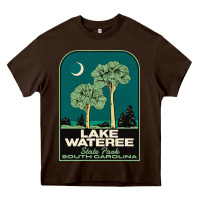 Chocolate Brown Trending Lake Wateree State Park Sc Vintage Travel Heavy Core Tee - SnappyArt