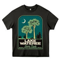 Asphalt Trending Lake Wateree State Park Sc Vintage Travel Heavy Core Tee - SnappyArt