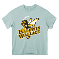 Arona baldwin wallace university yellowjackets Heavy Core Tee - FloraArt
