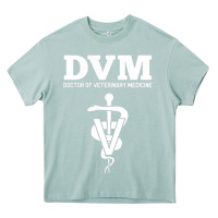 Arona Doctor of Veterinary Medicine DVM Veterinarian Vet Tech Heavy Core Tee - FloraArt
