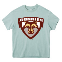 Arona st. bonaventure bonnies Heavy Core Tee - FloraArt
