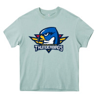 Arona springfield thunderbirds Heavy Core Tee - ArtMosaic